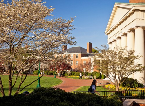 Wake-Forest-University